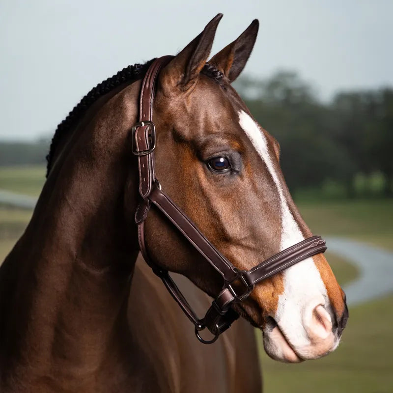 LeMieux Stiched Hunter Headcollar - Havana