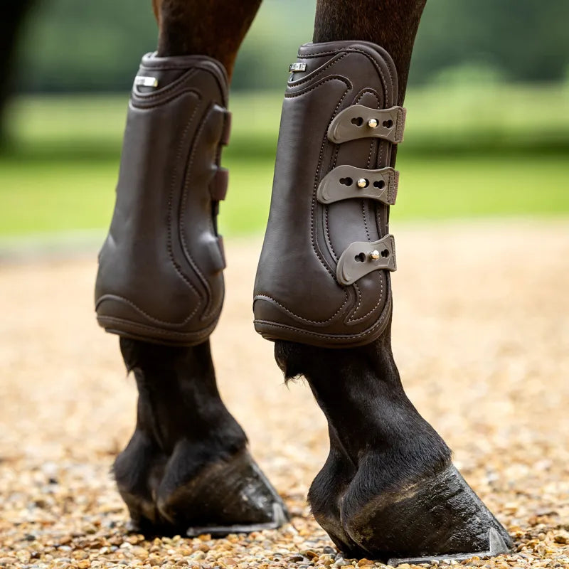 LeMieux Capella 3 Strap Tendon Boot - Brown