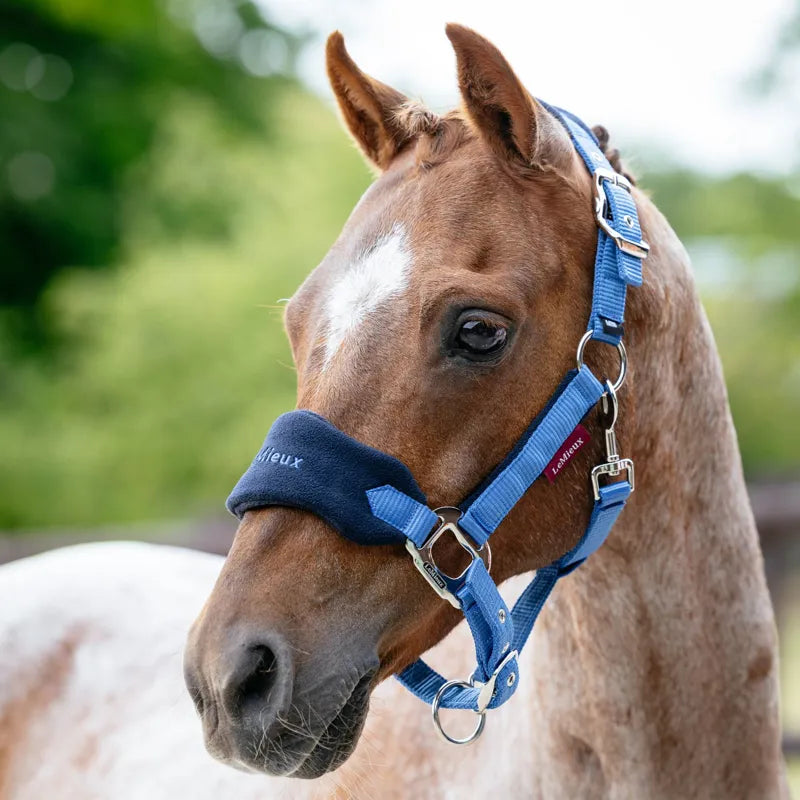 LeMieux Mini Vogue Headcollar and Leadrope - Benetton