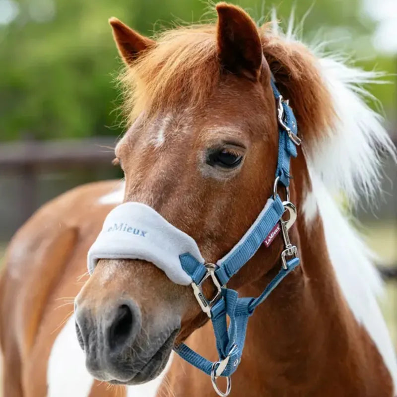LeMieux Mini Vogue Headcollar and Leadrope - Ice Blue