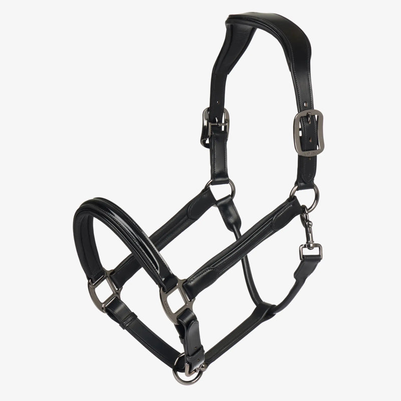 LeMieux Patent Leather Headcollar - Black