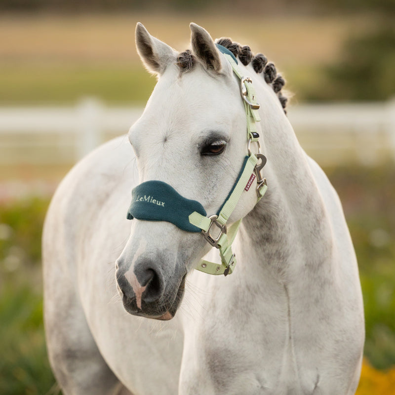 LeMieux Mini Vogue Headcollar and Leadrope - Macaron