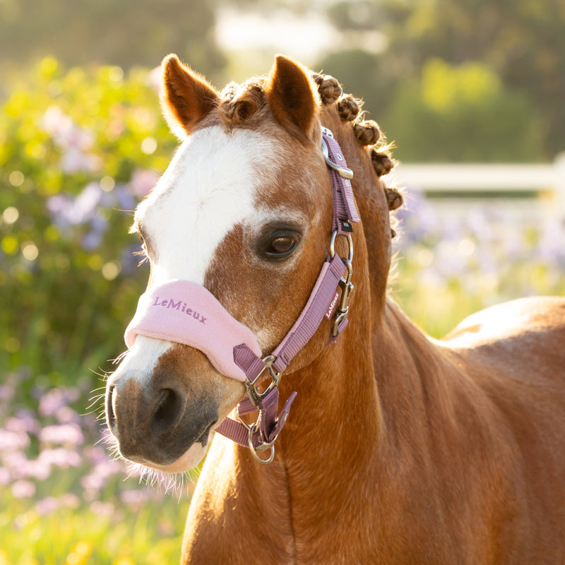LeMieux Mini Vogue Headcollar and Leadrope - Mallow