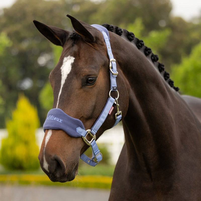 LeMieux Vogue Headcollar and Leadrope - Powder Blue