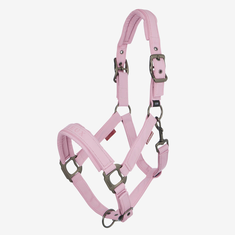 LeMieux Essence Headcollar - Fondant