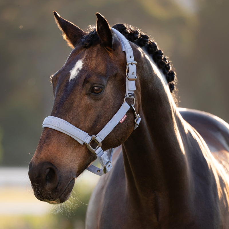 LeMieux Essence Headcollar - Powder Blue