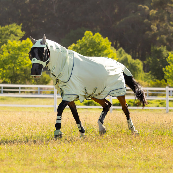 LeMieux Arika Armour-Tek Fly Rug - Macaron