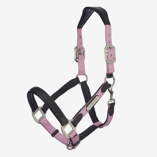 LeMieux Capella Headcollar - Fondant
