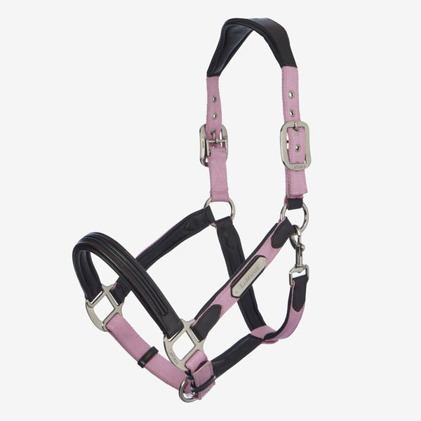 LeMieux Capella Headcollar - Fondant