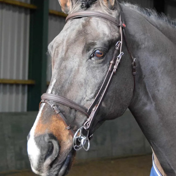 John Whitaker Ready To Ride Flash Bridle - Brown