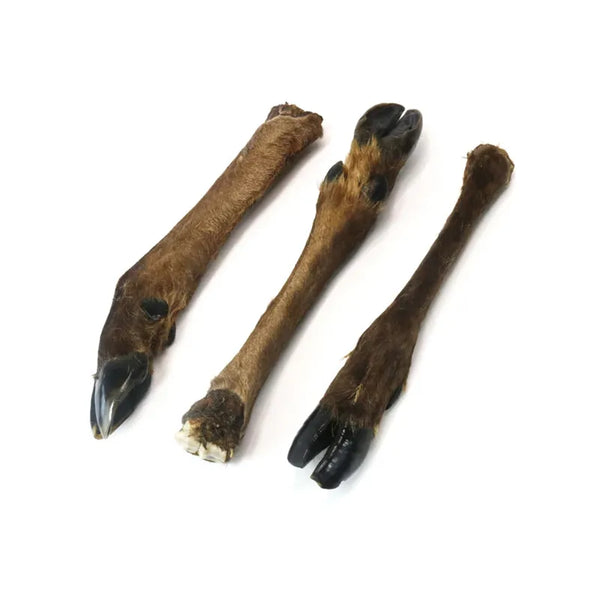 JR Pet Products Venison Leg with Fur