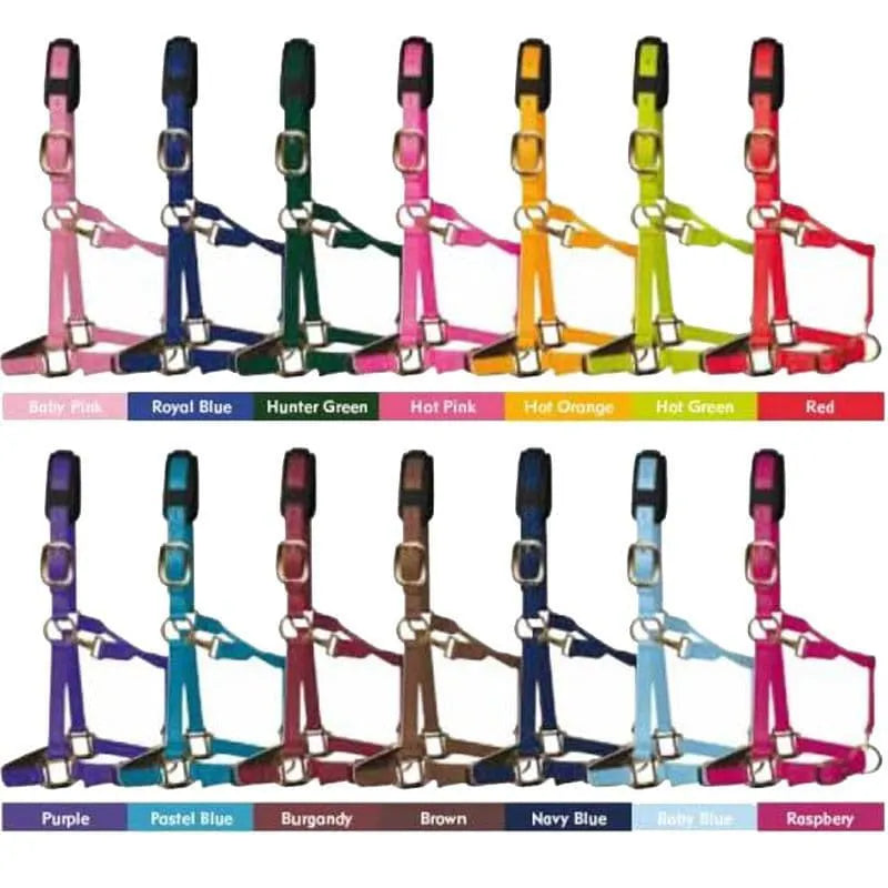 KM Elite Padded Headcollar - Red