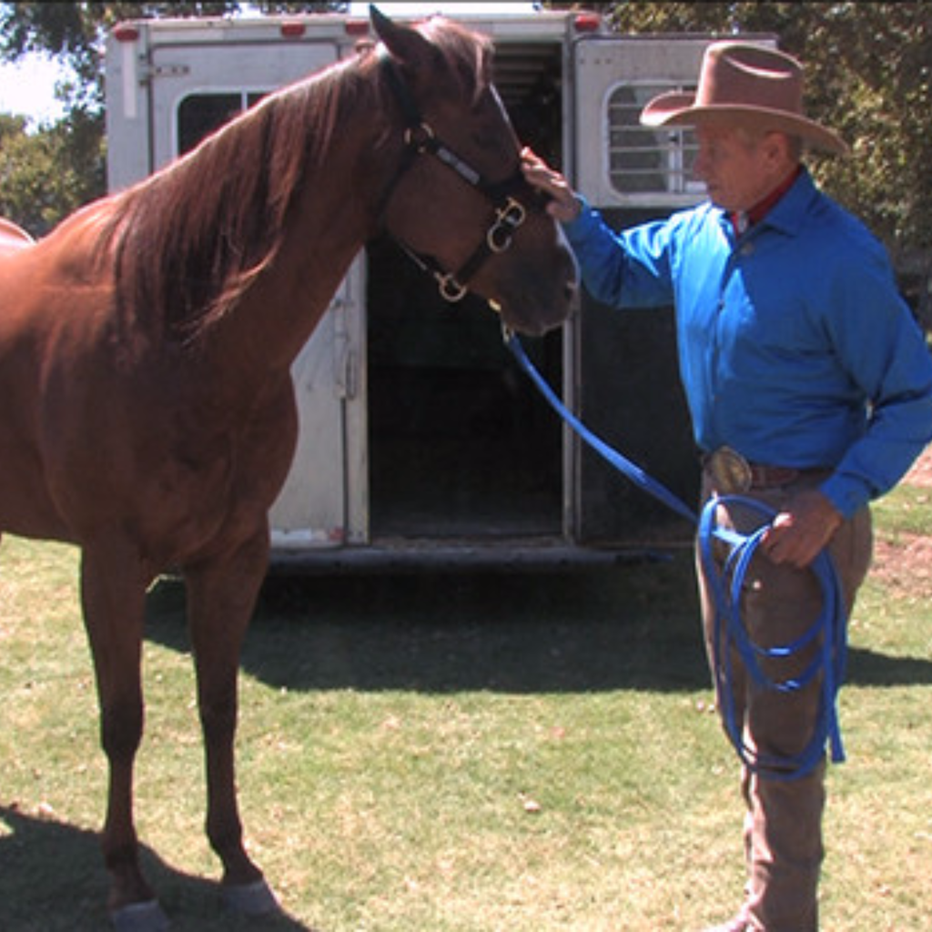 Monty Roberts Lead Line - 17ft