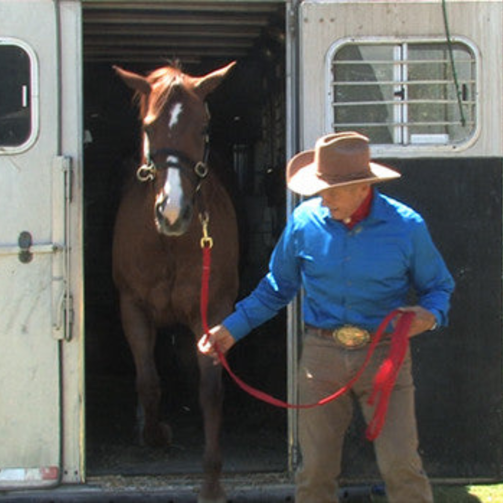 Monty Roberts Lead Line - 12ft