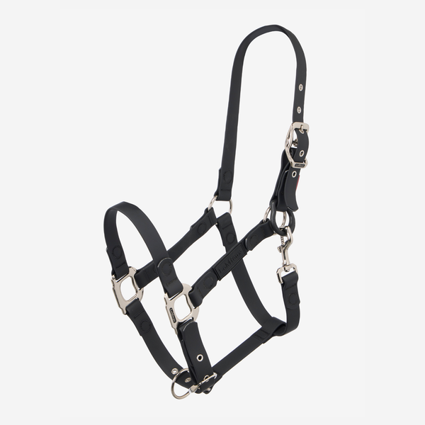 LeMieux FieldFlex Headcollar - Black