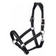 LeMieux Anatomic Headcollar - Black
