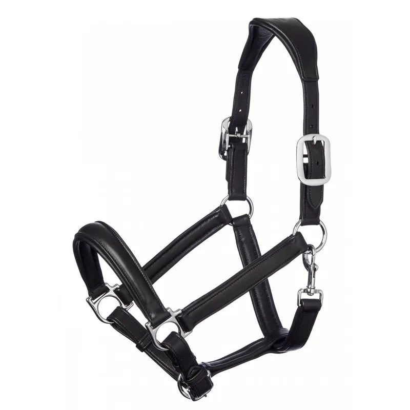 LeMieux Anatomic Headcollar - Black