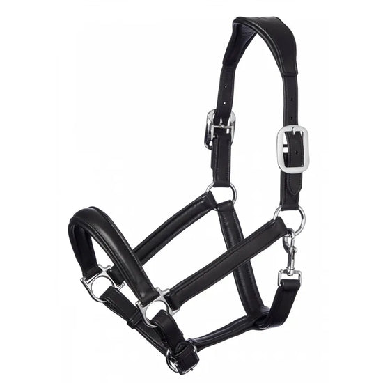 LeMieux Anatomic Headcollar - Black