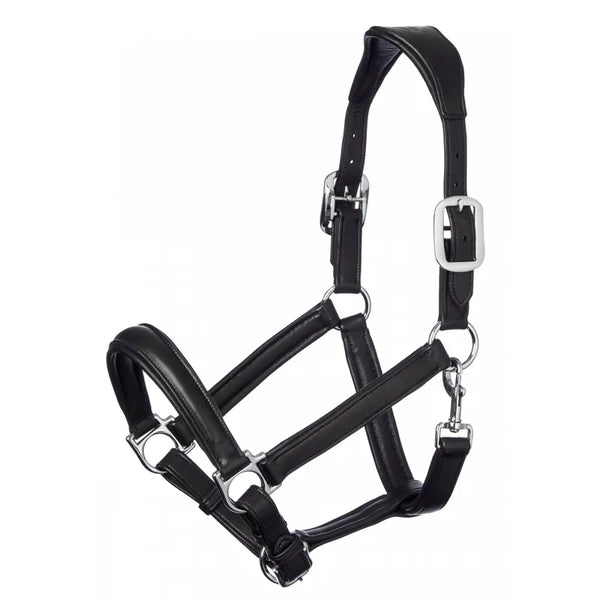 LeMieux Anatomic Headcollar - Black