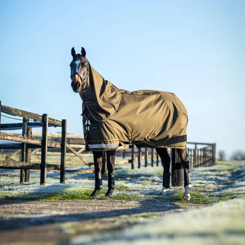 LeMieux Arika Ripstop 200g Turnout - Alpine