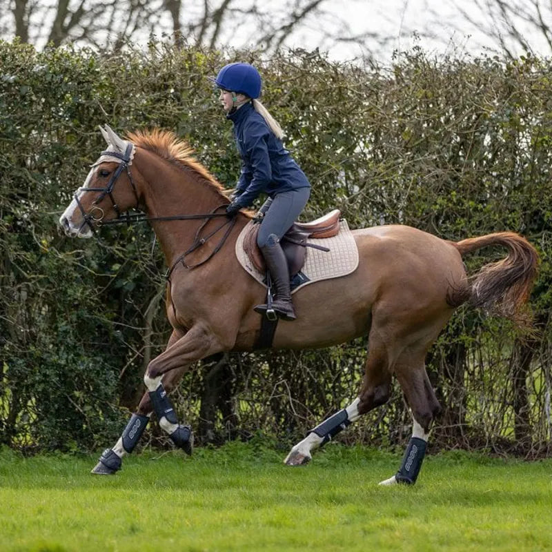 LeMieux Carbon Air XC Boots Hind - Black