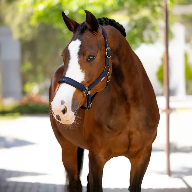 LeMieux Essence Headcollar - Navy