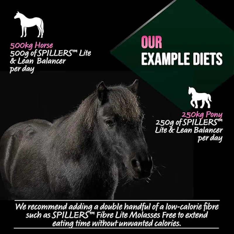 Spillers Lite and Lean Balancer - 20kg