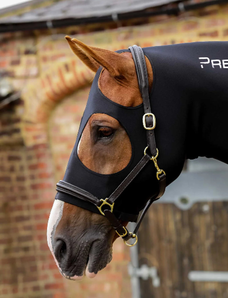 Premier Equine Stretch Lycra Hood - Black