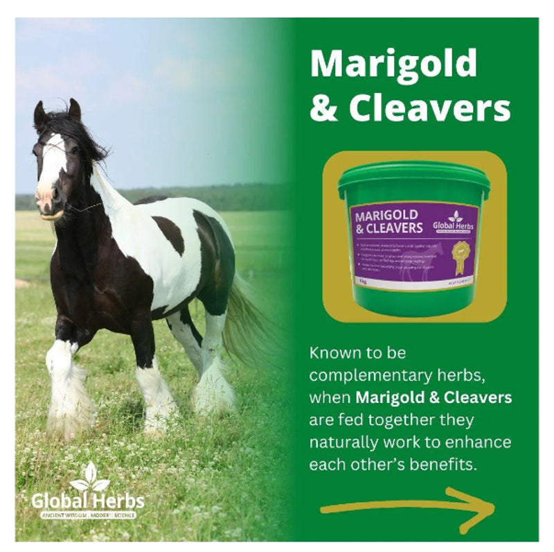 Global Herbs Marigold and Cleavers - 1kg