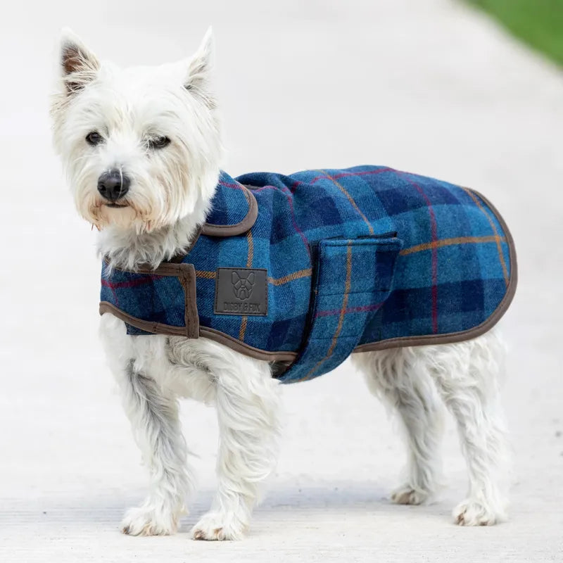 Digby and Fox Tweed Dog Coat - Navy