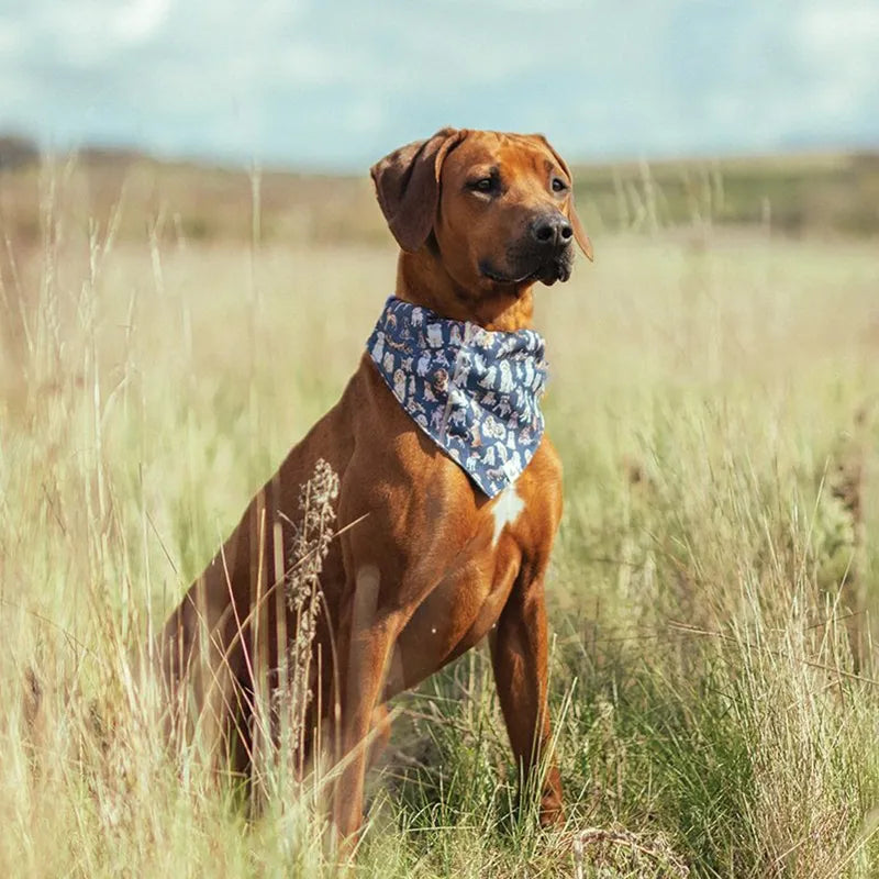 Wrendale Dog Bandana