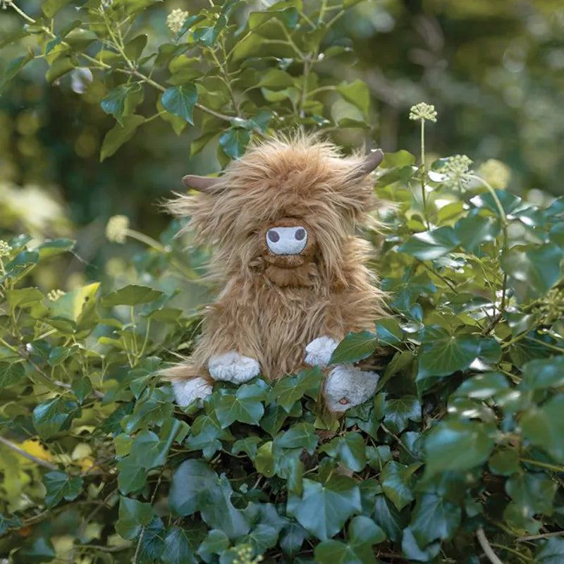WRENDALE GORDON HIGHLAND COW - O/S