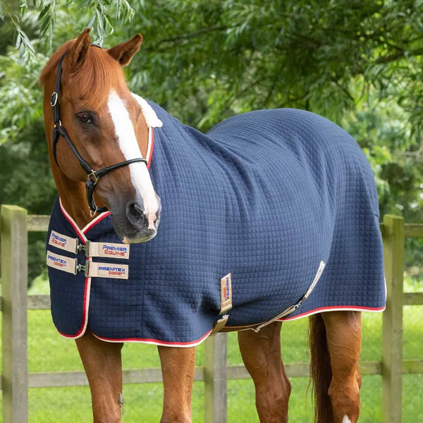 Premier Equine PremTex Cooler Rug - Navy