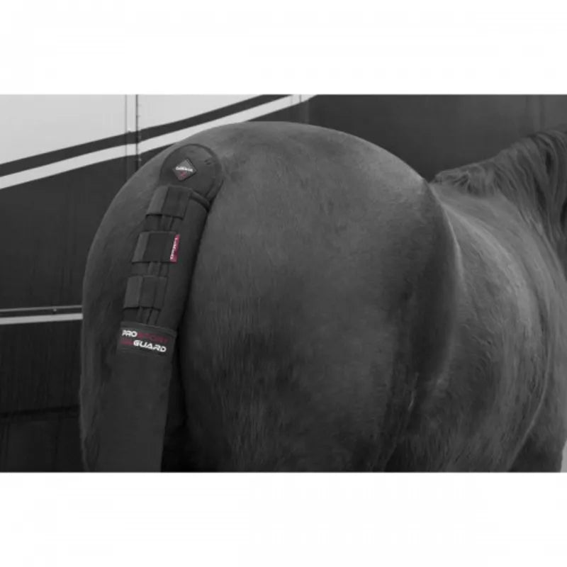 LeMieux Tail Guard With Bag - Black