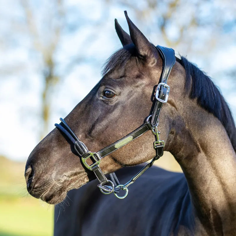 LeMieux Rope Control Headcollar - Black