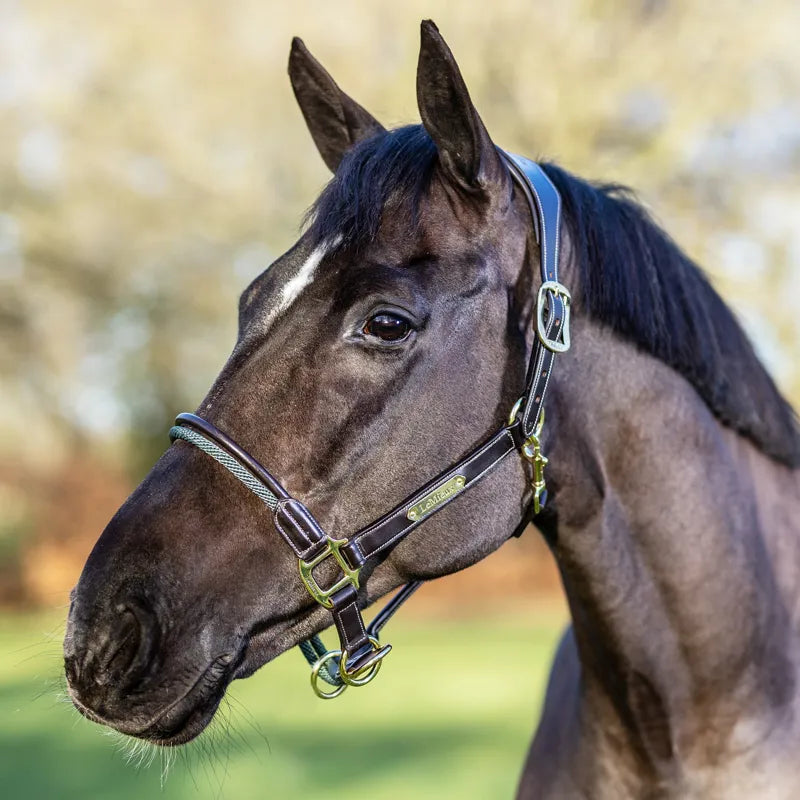 LeMieux Rope Control Headcollar - Brown