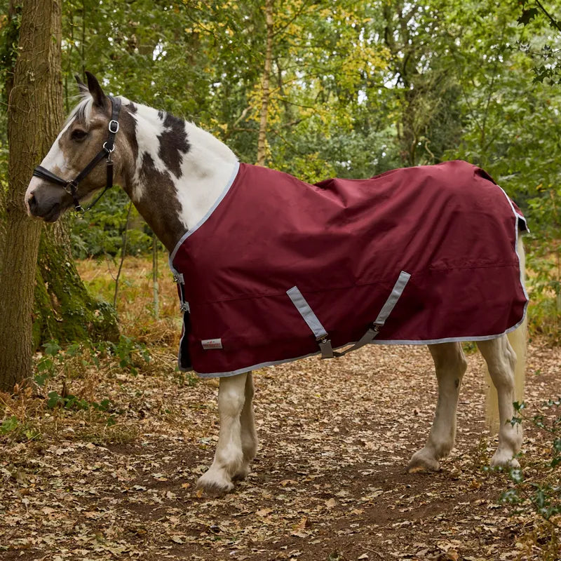 R&R Bramham 50g Standard Neck Turnout Rug