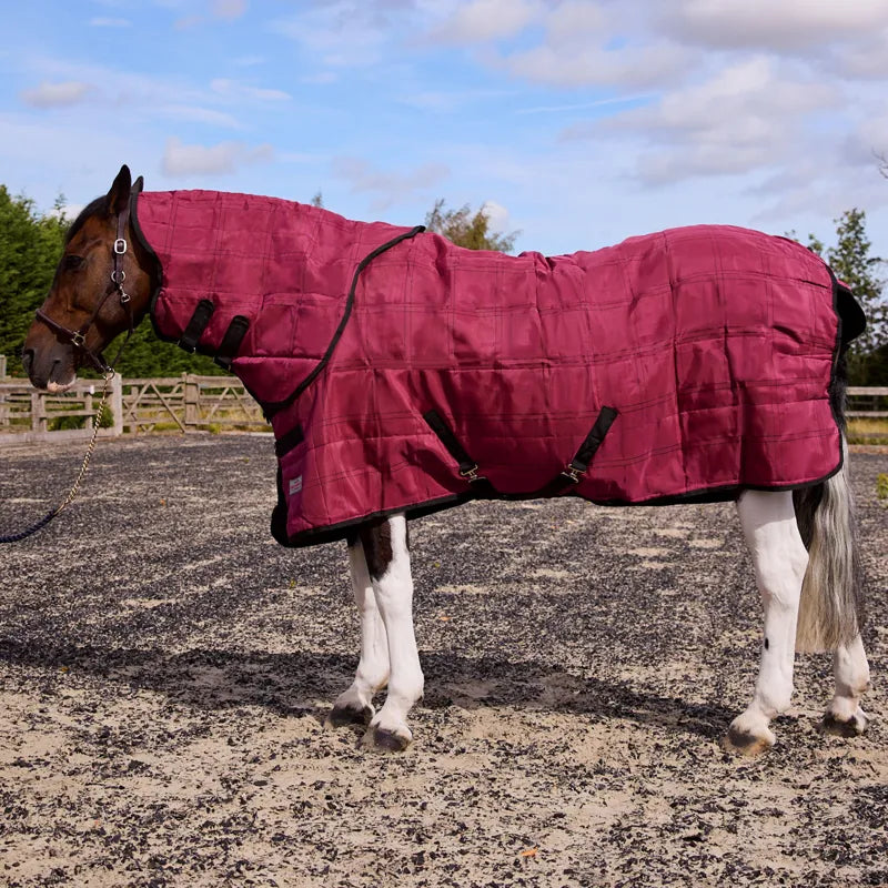 R&R 200g Stable Rug and Neck Set