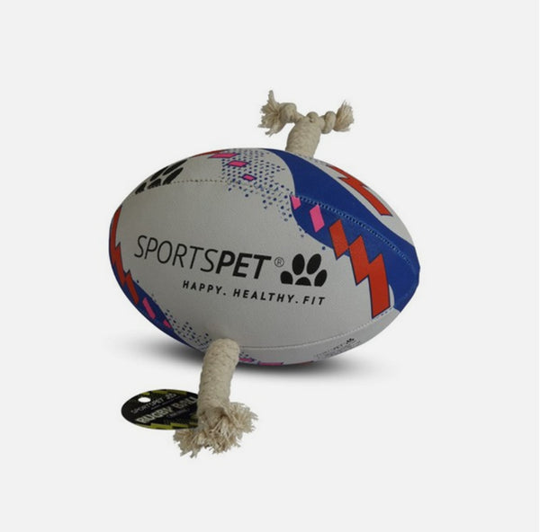 Sports Pet Rugby Ball