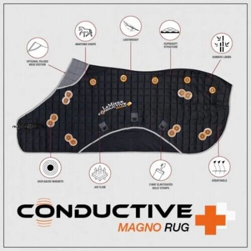 LeMieux Conductive Magnotherapy Rug