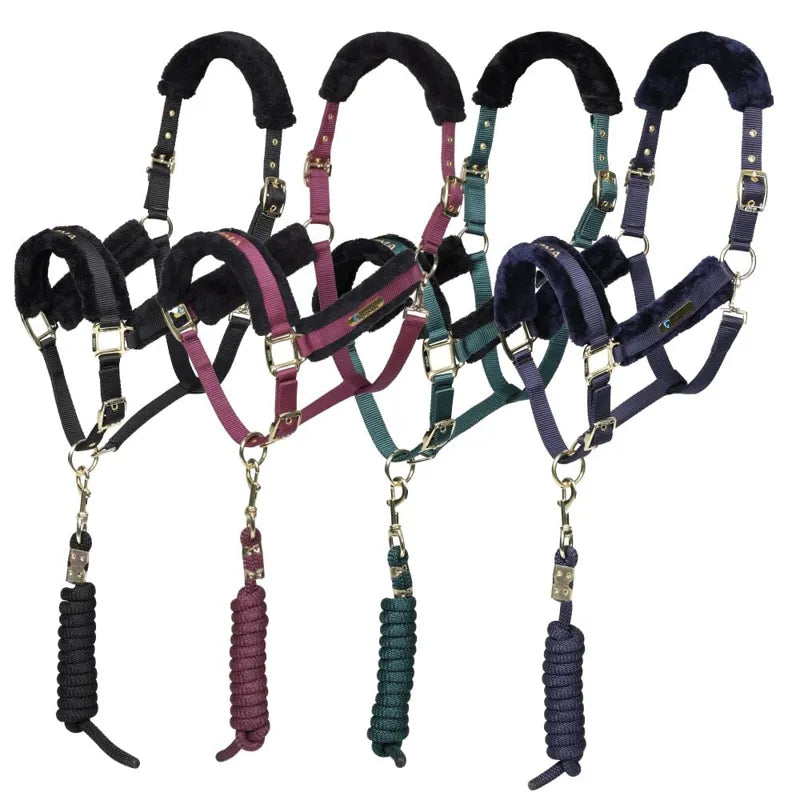 ARMA Logo Headcollar and Lead Rope - Burgundy