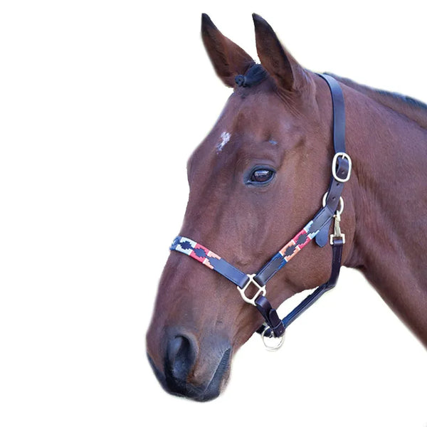 Velociti GARA Leather Polo Headcollar - Turquoise/Red/Orange/Blue