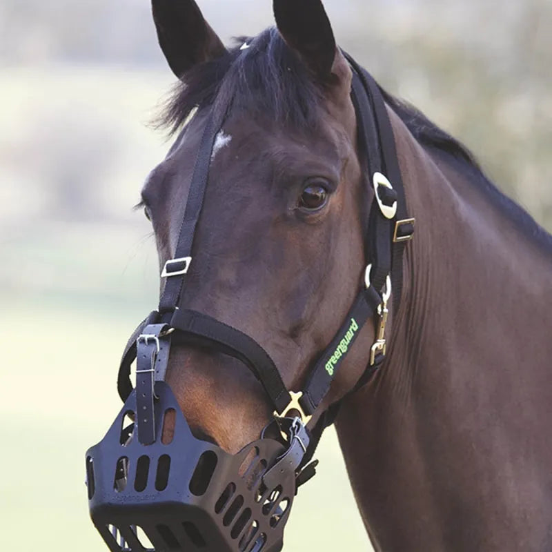 Greenguard Headcollar - Black