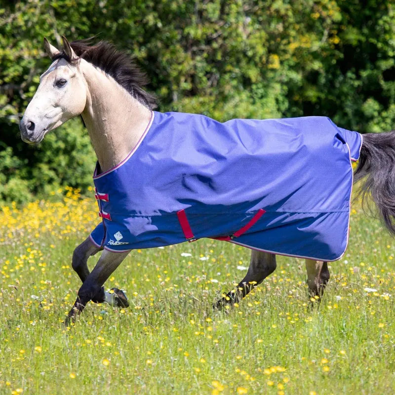 Tempest Original Air Motion Turnout Rug - Navy