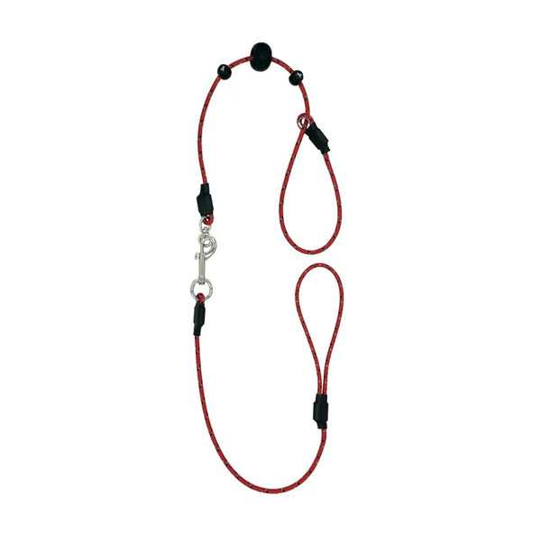 Sporting Saint Field Trial PRO Lead - All In One