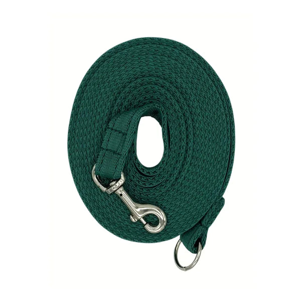 Sporting Saint Puppy Training Line