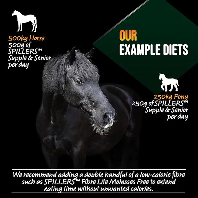 Spillers Supple and Senior Balancer - 15kg