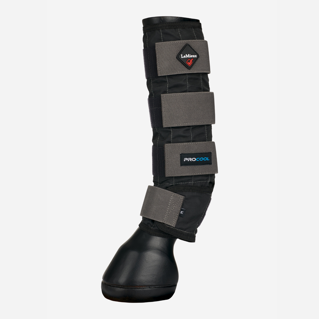 LeMieux Cold Water Boots