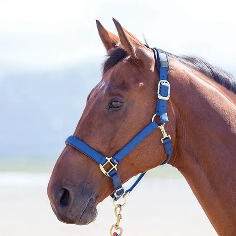 Topaz Nylon Headcollar - Navy