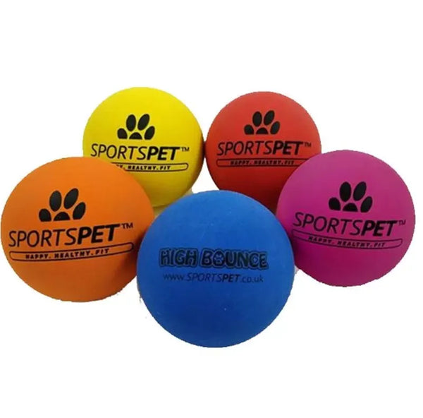 Sports Pet Medium Tough Bounce Ball